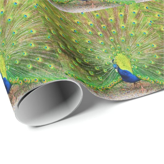 Peacock Geschenkpapier (Rolleneckpunkt)