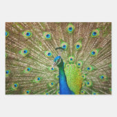 Peacock Geschenkpapier Set (Vorderseite 3)