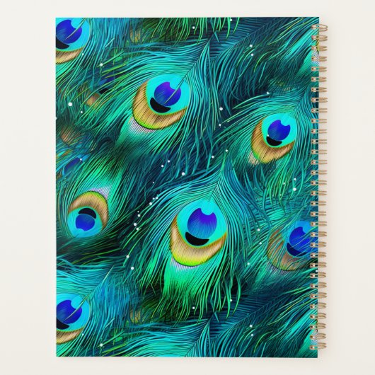 Peacock Glory Planer (Rückseite)