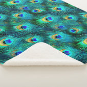 Peacock Glory Sherpadecke (3/4)