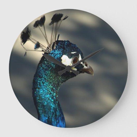 Peacock Große Wanduhr (Vorderseite)