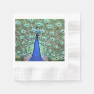 Peacock, Hi-def-Fotografie über Napkin Serviette
