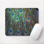 Peacock Jewelery Mousepad (Mit Mouse)