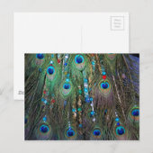 Peacock Jewelery Postkarte (Vorne/Hinten)