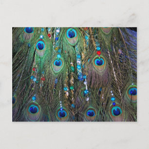 Peacock Jewelery Postkarte