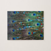 Peacock Jewelery Puzzle (Horizontal)