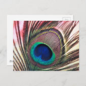 peacock.jpg postkarte (Vorne/Hinten)