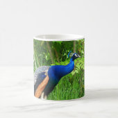 Peacock Kaffeetasse (Mittel)
