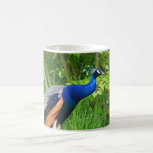 Peacock Kaffeetasse (Mittel)