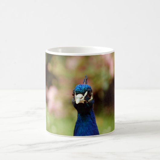 Peacock Kaffeetasse (Mittel)