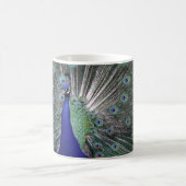 Peacock Kaffeetasse (Mittel)