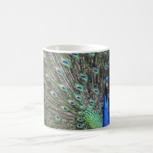 Peacock Kaffeetasse (Mittel)