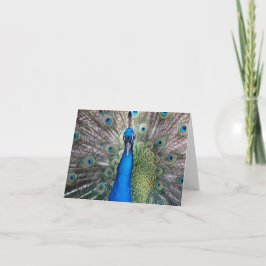 Peacock Karte