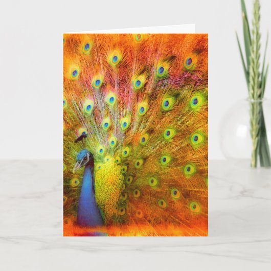 Peacock Karte (Vorderseite)