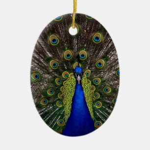 Peacock Keramikornament
