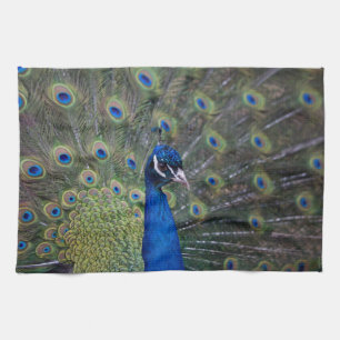 Peacock Küchentuch