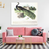 Peacock Leinwanddruck (Insitu (Wohnzimmer))