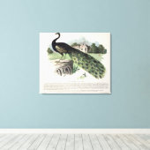 Peacock Leinwanddruck (Insitu (Holzboden))