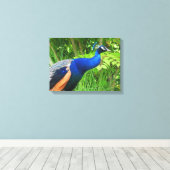 Peacock Leinwanddruck (Insitu (Holzboden))