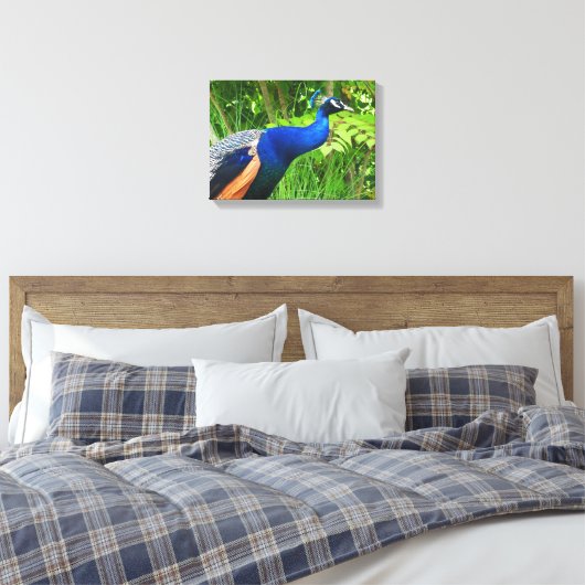Peacock Leinwanddruck (Insitu (Schlafzimmer))