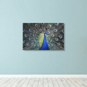 Peacock Leinwanddruck (Insitu (Holzboden))