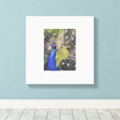 Peacock Leinwanddruck (Insitu (Holzboden))