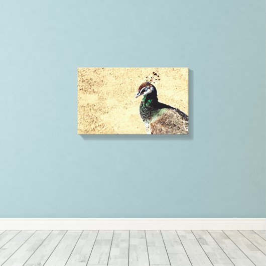 Peacock Leinwanddruck (Insitu (Holzboden))
