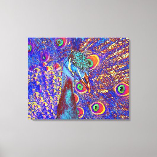 Peacock Leinwanddruck (Vorderseite)
