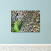 Peacock Leinwanddruck (Insitu (Holzboden))