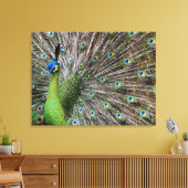 Peacock Leinwanddruck (Insitu (Wohnzimmer))