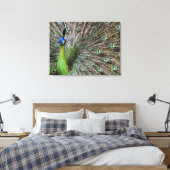 Peacock Leinwanddruck (Insitu (Schlafzimmer))