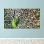 Peacock Leinwanddruck (Insitu (Holzboden))