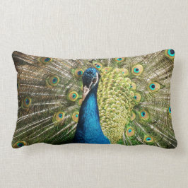 Peacock Lendenkissen