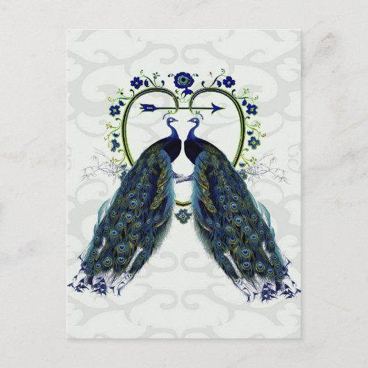 PEACOCK Liebe Herz, Pfau Postkarte (Vorderseite)