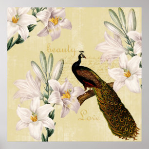 Peacock Lilies Poster