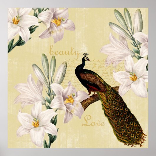 Peacock Lilies Poster (Vorne)