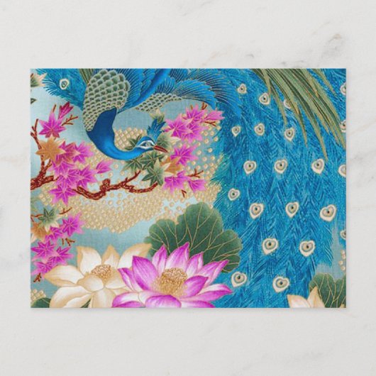 Peacock Lotus Postkarte (Vorderseite)