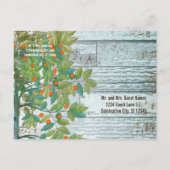 Peacock Love Bird im Baum Save the Date sitzen Ankündigungspostkarte (Rückseite)