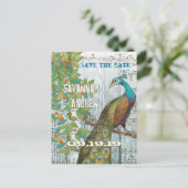 Peacock Love Bird im Baum Save the Date sitzen Ankündigungspostkarte (Stehend Vorderseite)