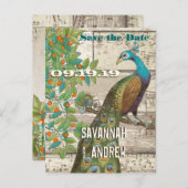 Peacock Love Bird im Baum Save the Date sitzen Ankündigungspostkarte (Vorne/Hinten)