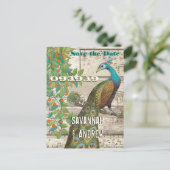 Peacock Love Bird im Baum Save the Date sitzen Ankündigungspostkarte (Stehend Vorderseite)