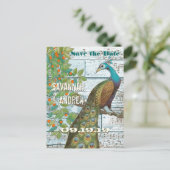 Peacock Love Bird im Baum Save the Date sitzen Ankündigungspostkarte (Stehend Vorderseite)
