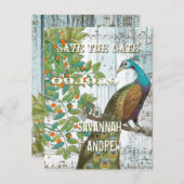 Peacock Love Bird im Baum Save the Date sitzen Ankündigungspostkarte (Vorne/Hinten)