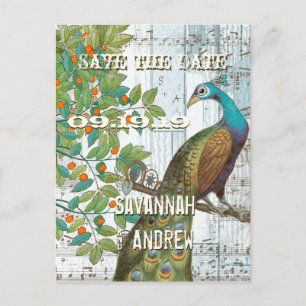 Peacock Love Bird im Baum Save the Date sitzen Ankündigungspostkarte