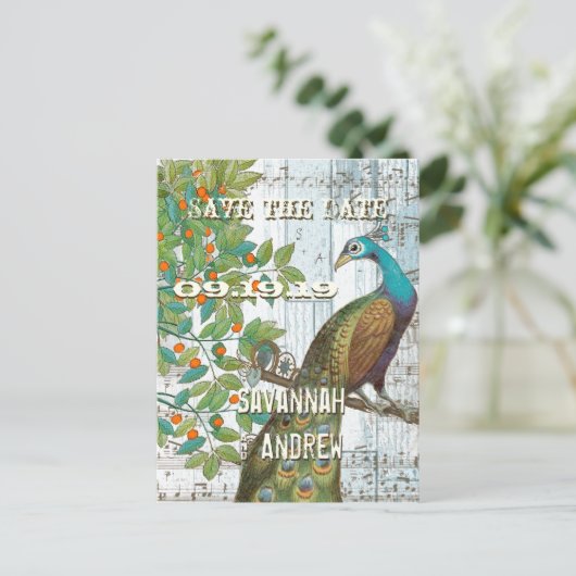 Peacock Love Bird im Baum Save the Date sitzen Ankündigungspostkarte (Stehend Vorderseite)