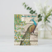 Peacock Love Bird im Baum Save the Date sitzen Ankündigungspostkarte (Stehend Vorderseite)