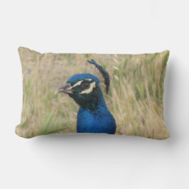 Peacock Lumbar Pillow Lendenkissen