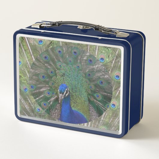 Peacock Lunchbox (Rückseite)