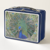 Peacock Lunchbox (Vorderseite)