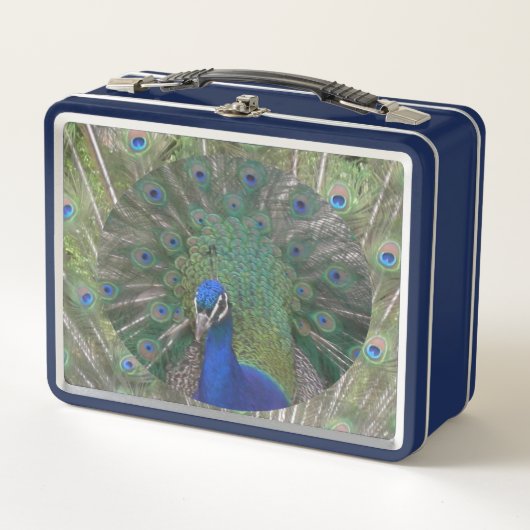 Peacock Lunchbox (Vorderseite)